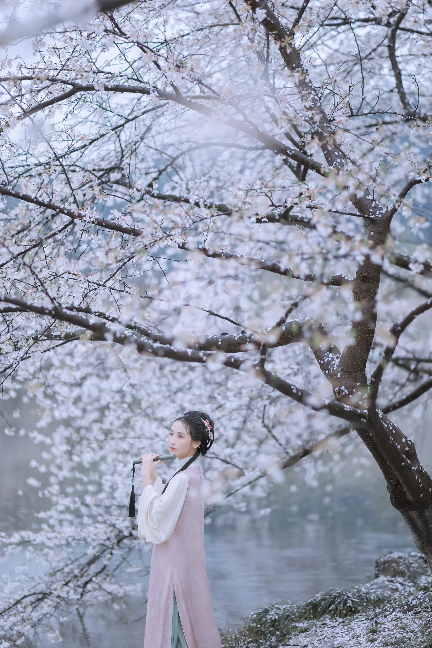 [艺图语] 2022.05.25 雨樱花 眸小妖 [46P]插图4